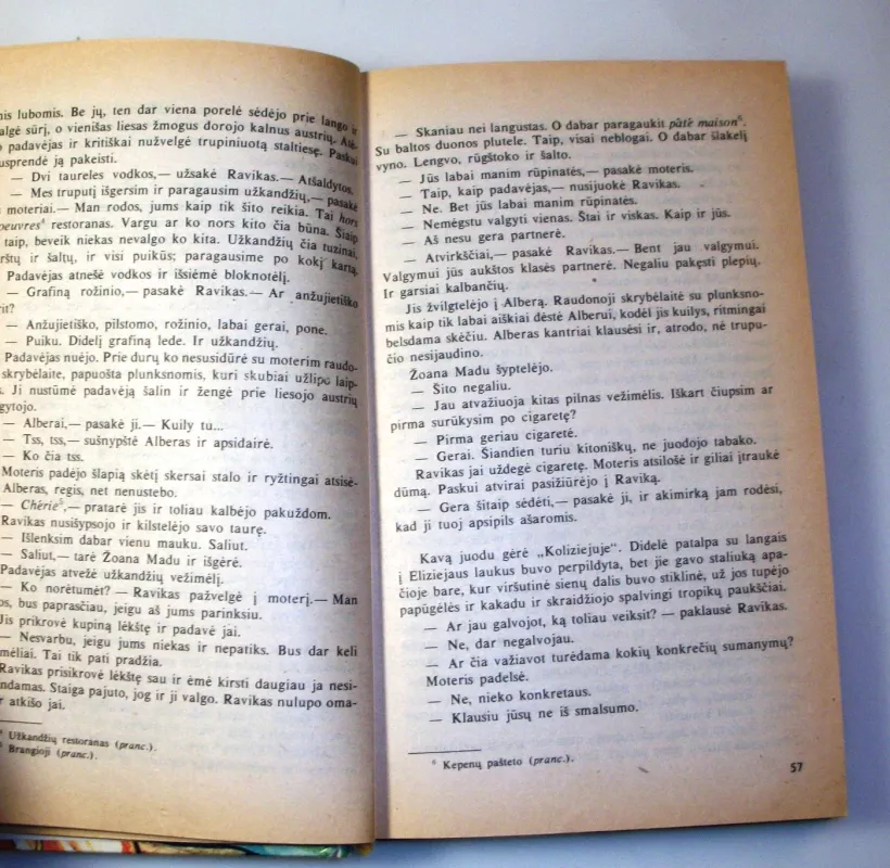 Triumfo arka - Erichas Marija Remarkas, knyga 5