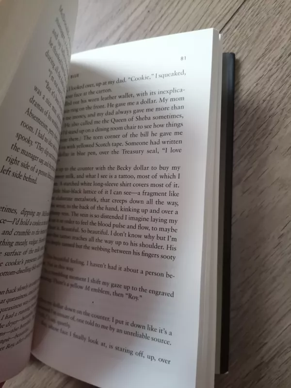 American innovations - Rivka Galchen, knyga 4