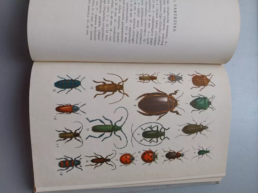 Vadovas Lietuvos vabzdžiams pažinti - Antanas Lešinskas, knyga 2