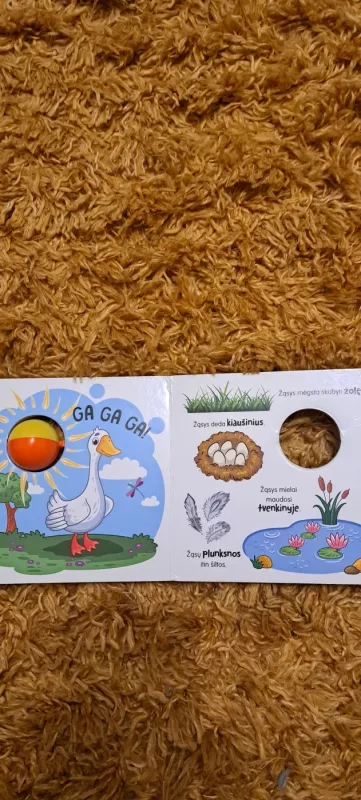 Į svečius pas gyvūnus - Leidykla presvika, knyga 2