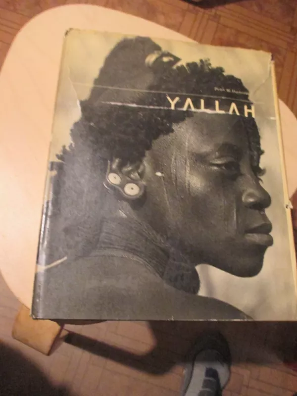 Yallah - Peter W. Haeberlin, knyga 4