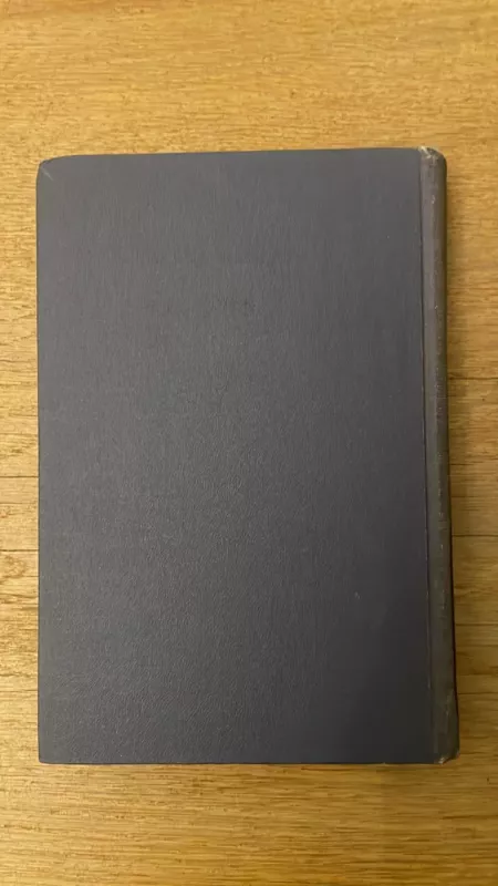 Lošėjas - Fiodoras Dostojevskis, knyga 5