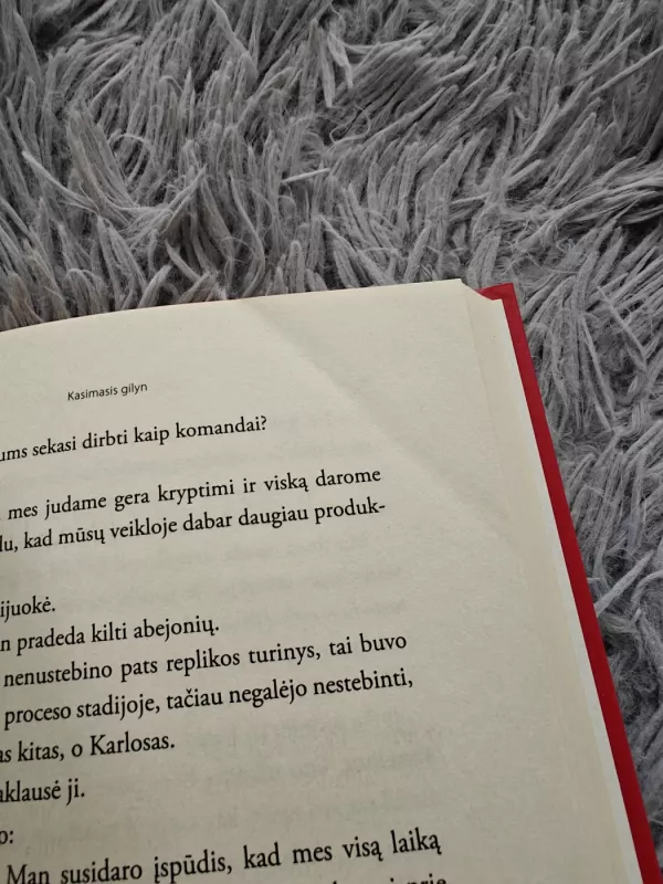 Svajonių komandos kūrimas: penkios komandos silpnybės ir būdai, kaip tai įveikti - Patrick Lencioni, knyga 3