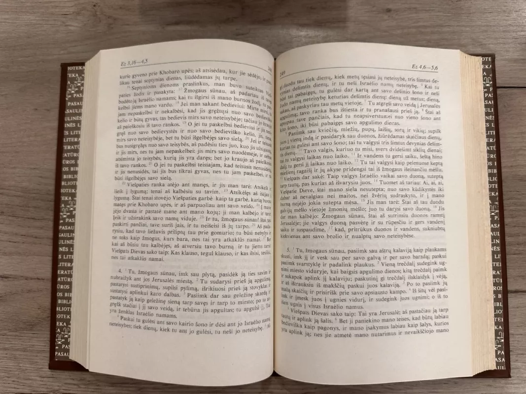 Šventasis raštas. Senasis testamentas (I-III tomai) - Autorių kolektyvas (įvairūs), knyga 6