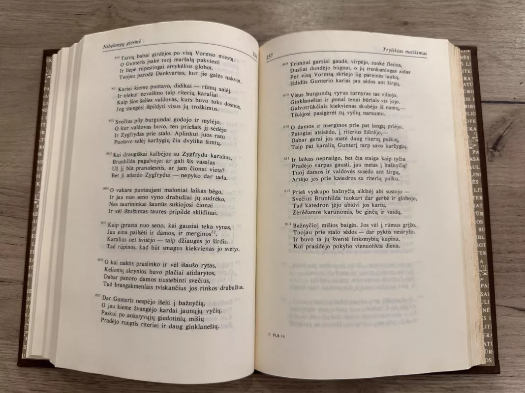 Rolando giesme. Nibelungų giesmė - Autorių Kolektyvas, knyga 5