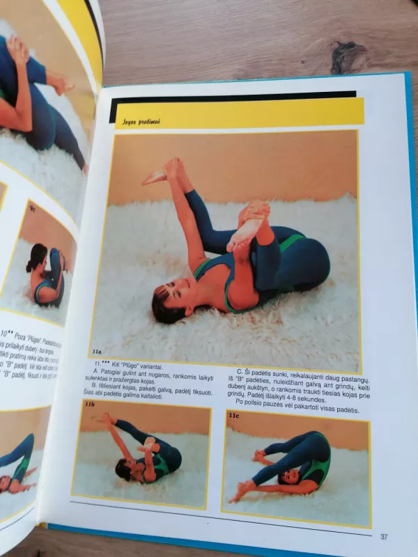 Aerobika namuose - Joana Meslinienė-Bartaškienė, knyga 6