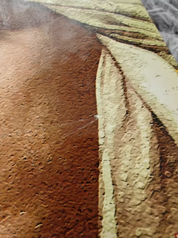 Mikaelis, sultono tarnas - Mika Waltari, knyga 3