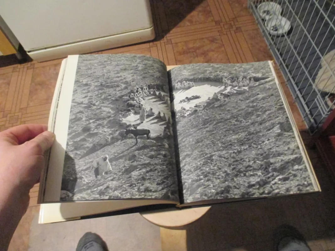 Yallah - Peter W. Haeberlin, knyga 3