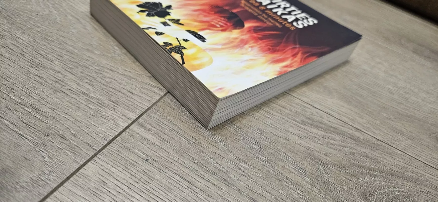 Mirties laikas arba 8 minutės - Elė Soul, knyga 4