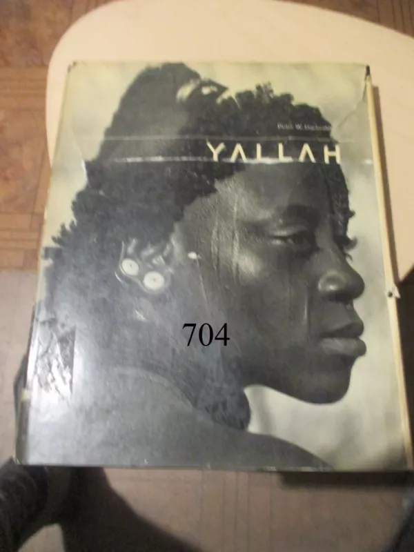 Yallah - Peter W. Haeberlin, knyga 2