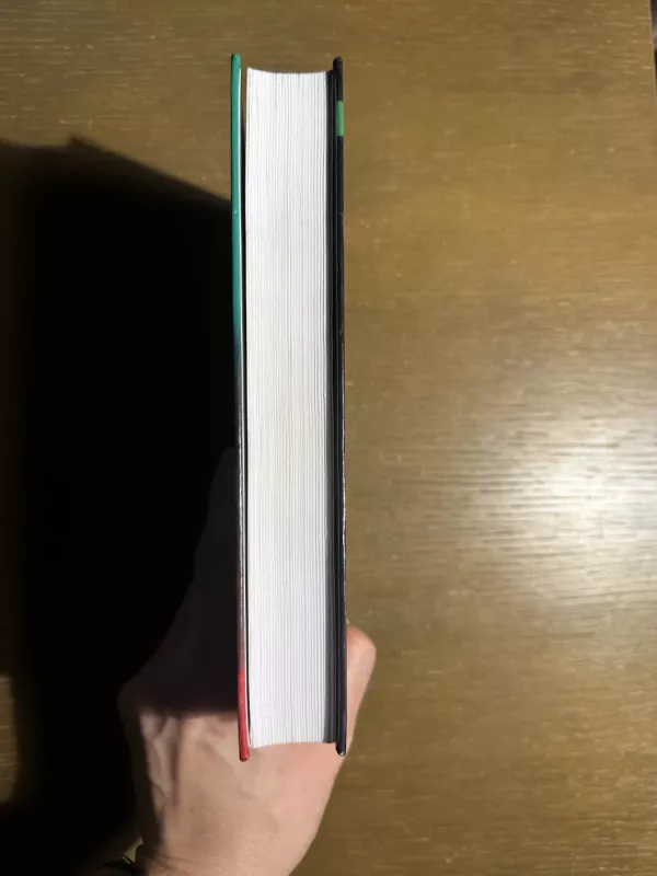 Puikus vadovas. Žlugęs vadovas - Ray Immelman, knyga 3