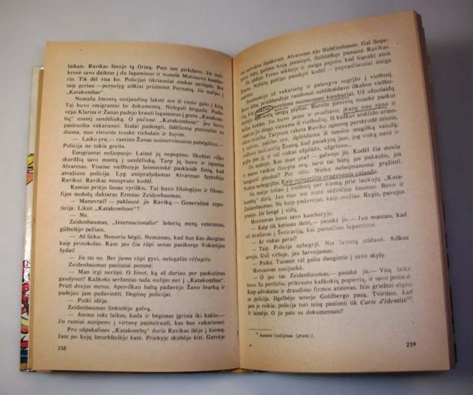 Triumfo arka - Erichas Marija Remarkas, knyga 6