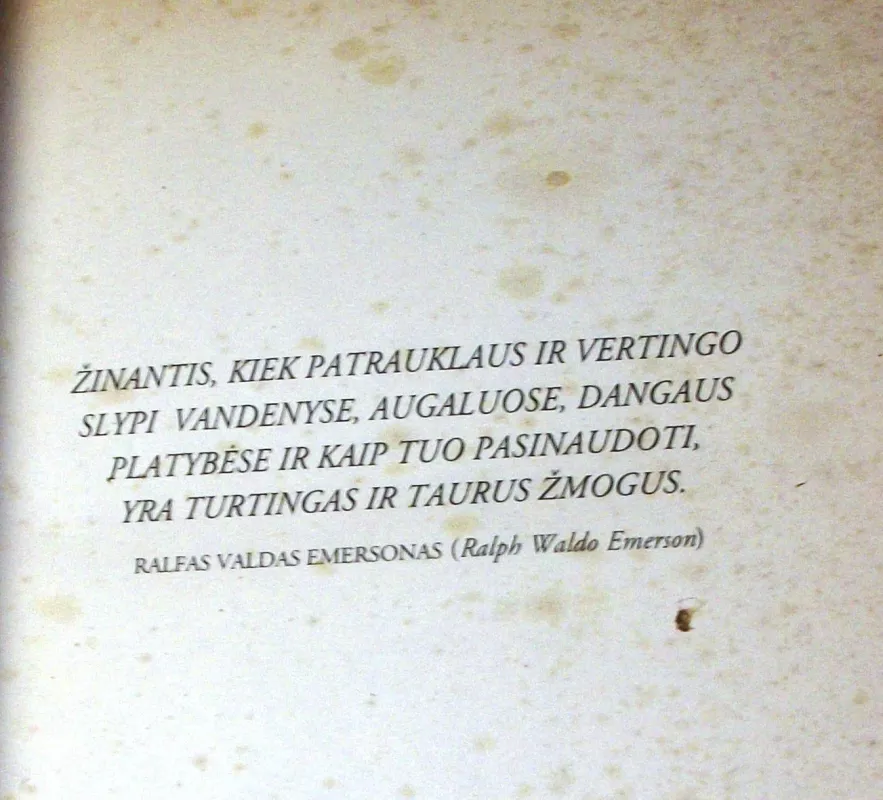 Augalų magija. Pirmieji būrimo žingsniai - Ellen Dugan, knyga 4