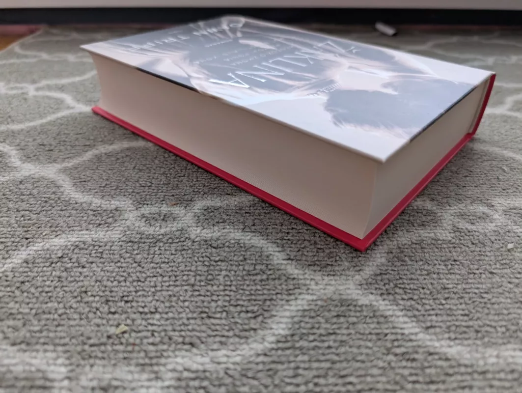 Žaklina - Dawn Tripp, knyga 5