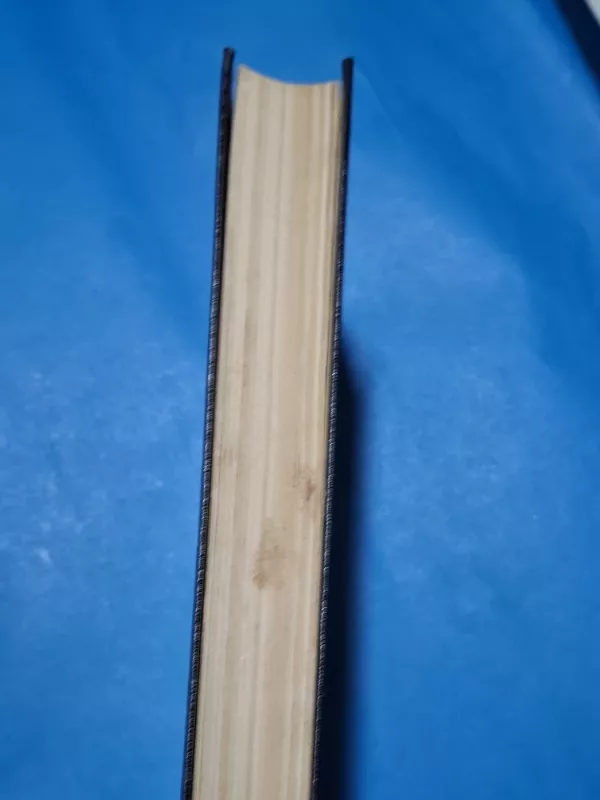 Ana Karenina (1 dalis) - Levas Tolstojus, knyga 3