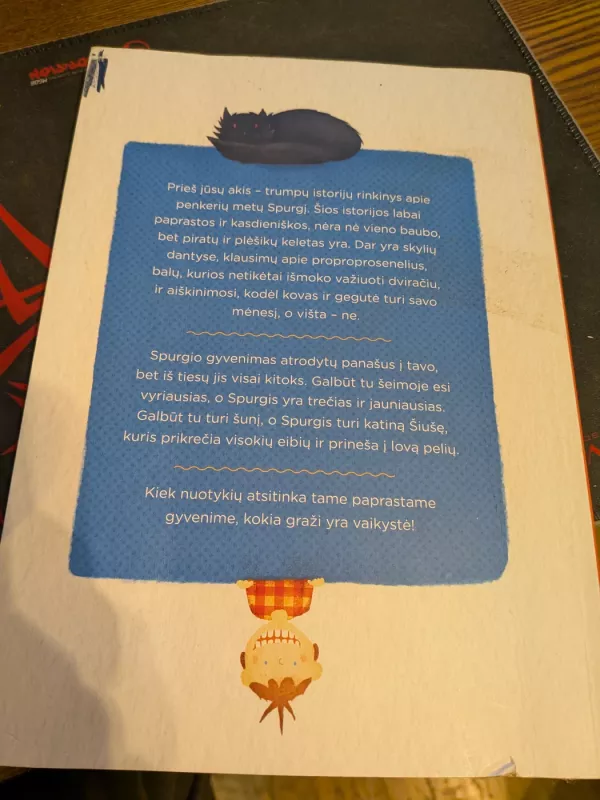 Bobausis be ausų - Kristina Jakaitė-Bulbukienė, knyga 2