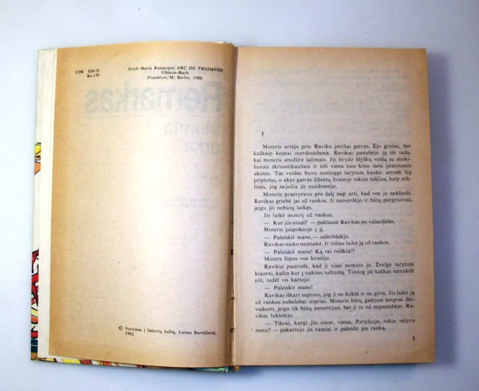 Triumfo arka - Erichas Marija Remarkas, knyga 4