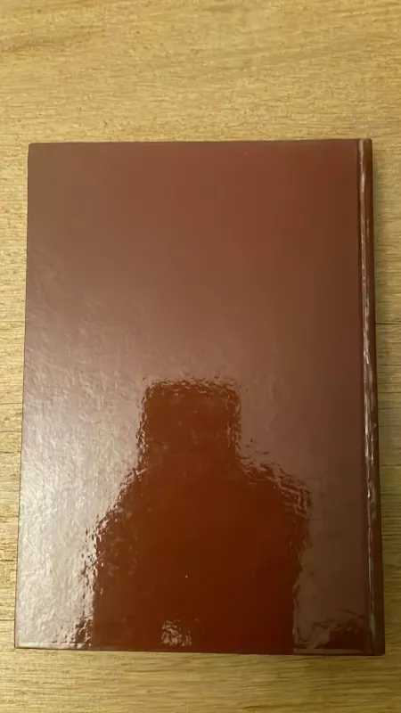 Lietuvos ir Lenkijos santykiai 1917-1994 - Vytautas Petras Plečkaitis ir Janas Widackis, knyga 6