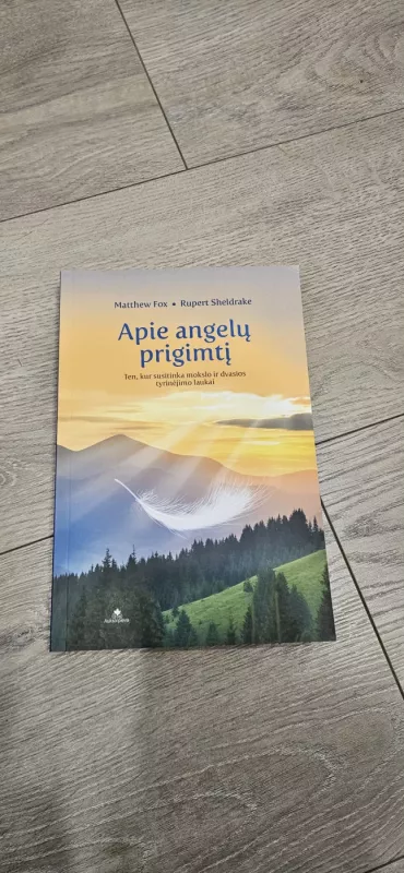Apie angelų prigimtį. Ten, kur susitinka mokslo ir dvasios tyrinėjimo laukai - Matthew Fox, Rupert Sheldrake, knyga 2