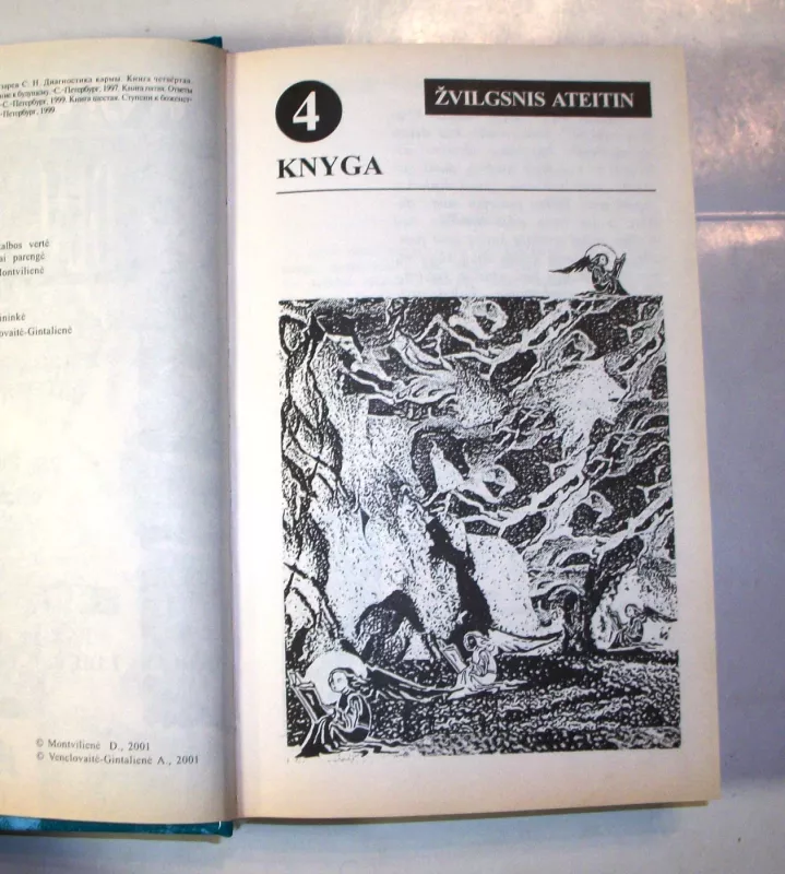 Karmos diagnostika 4, 5, 6 knygos - Sergėjus Lazarevas, knyga 5