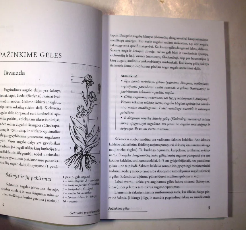 Gėlininko pradžiamokslis - Janina Vaidelienė, Jonas  Vaidelys, knyga 6
