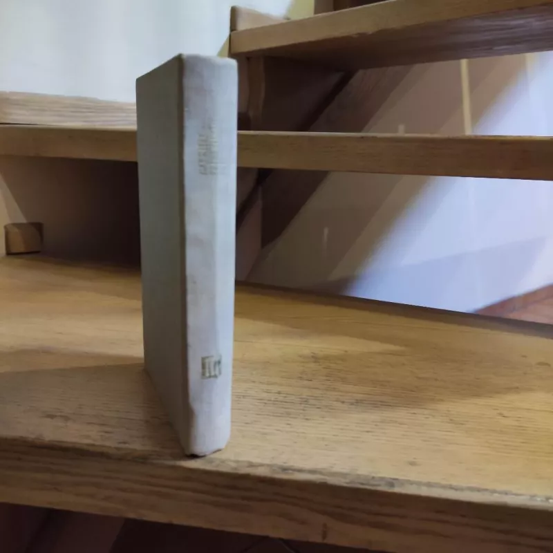 AD ASTRA - Gabrielė Petkevičaitė-Bitė, knyga 6