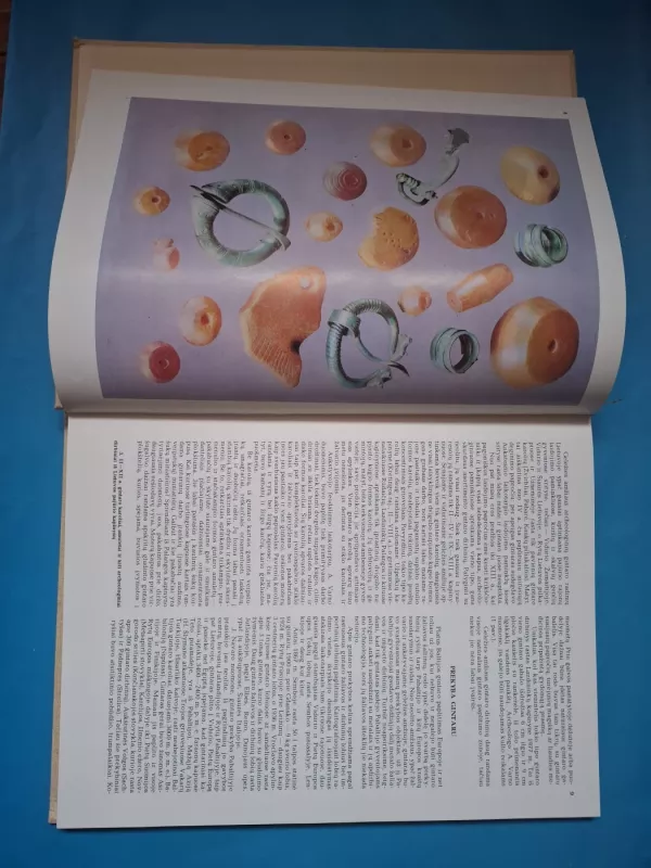 Baltijos gintaras - Vladas Katinas, knyga 3