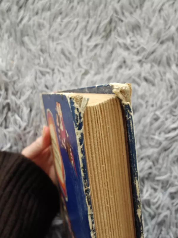 Septyni požemio karaliai - Aleksandras Volkovas, knyga 6