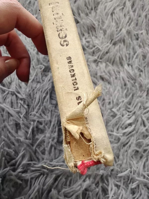 Septyni požemio karaliai - Aleksandras Volkovas, knyga 5