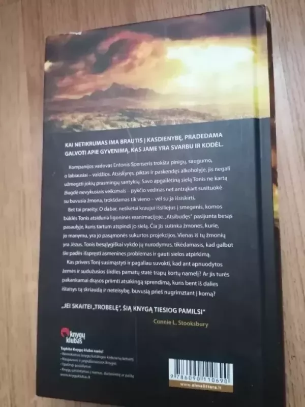 Kryžkelės - Wm.Paul Young, knyga 6