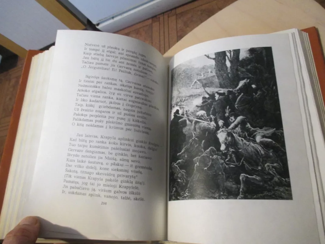 Ponas Tadas arba paskutinis antpuolis Lietuvoje - Adomas Mickevičius, knyga 5