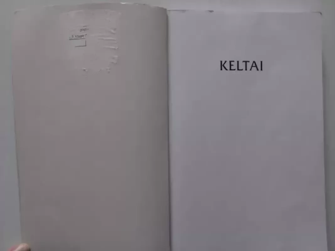Keltai - T.G.E. Powell, knyga 5