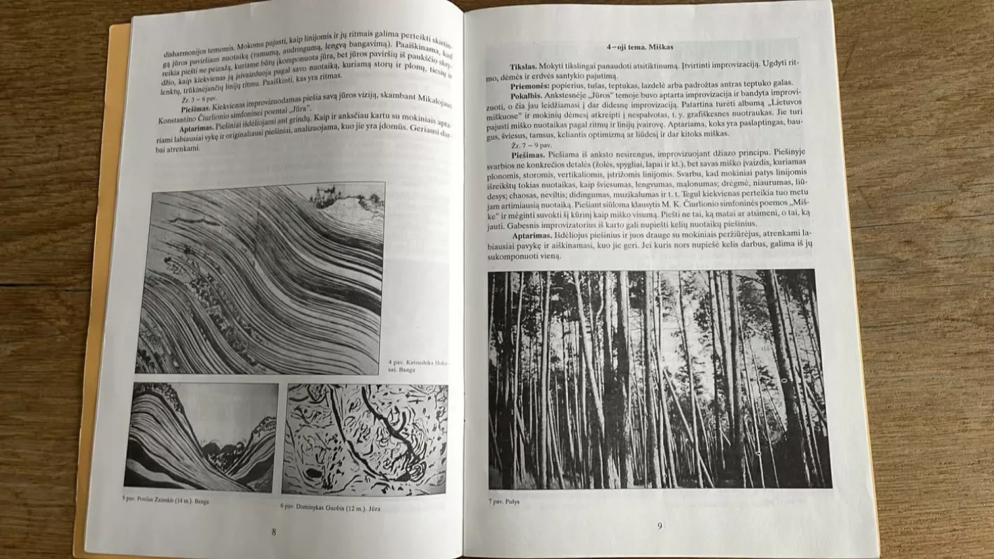 Vaizduojamosios dailės mokymas (I dalis) - Nijolė Radzevičienė, knyga 5