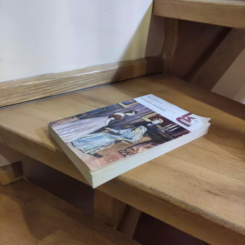 Bolshyje nadezhdy - Charles Dikens, Charles Dickens, knyga 4