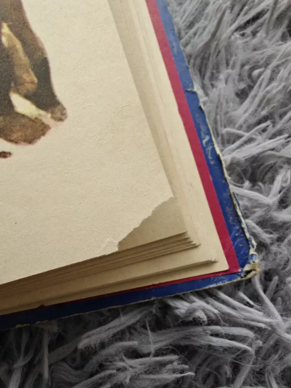 Septyni požemio karaliai - Aleksandras Volkovas, knyga 4