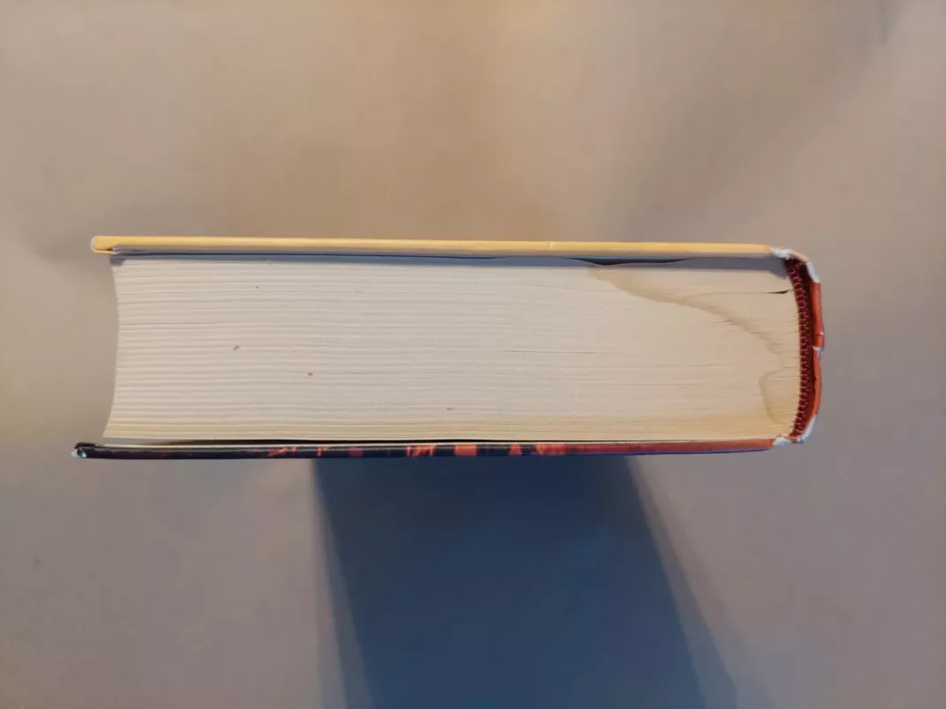 Gaudi mįslė - Esteban Martin, Andreu  Carranza, knyga 4