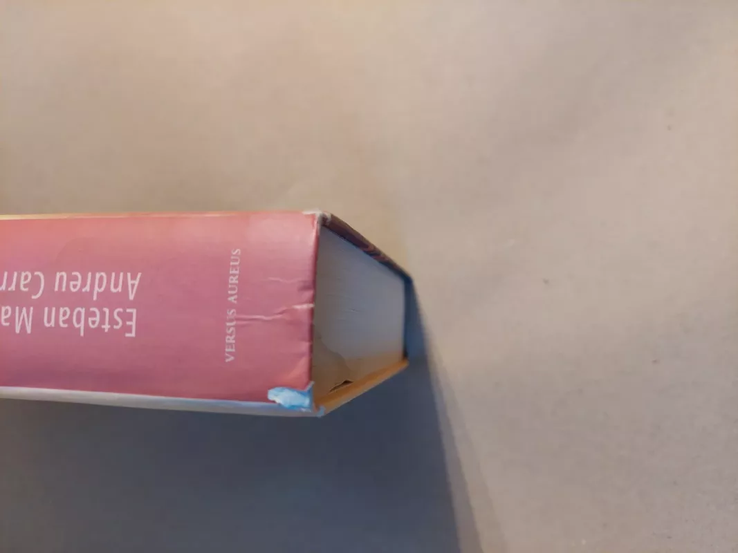 Gaudi mįslė - Esteban Martin, Andreu  Carranza, knyga 5