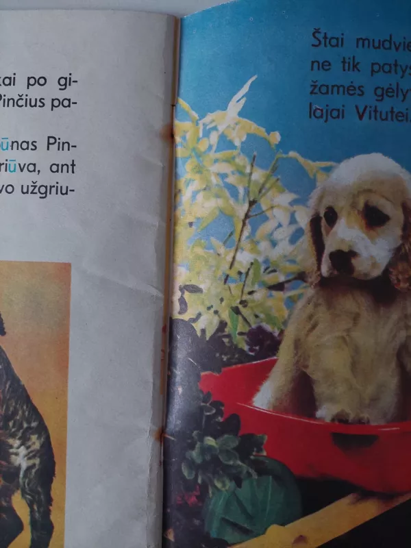 ABC Šuniukų abėcėlė - Aldona Liobytė, knyga 5