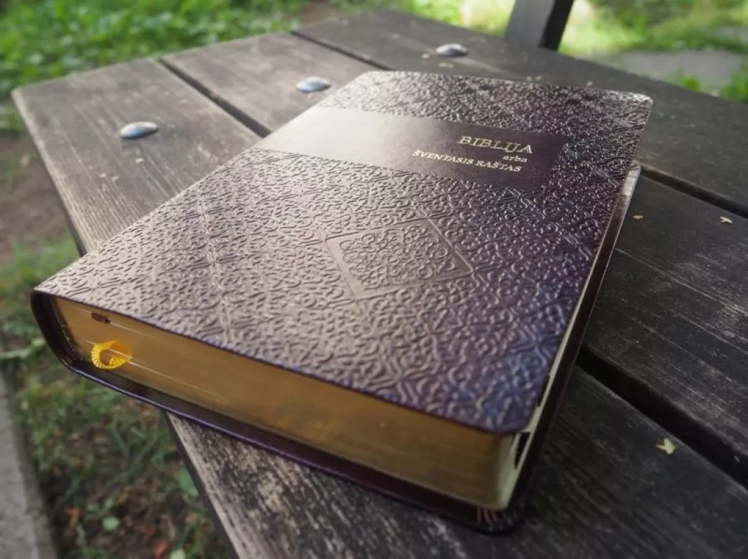 Biblija, arba Šventasis Raštas. Ekumeninis leidimas - ANTANAS RUBŠYS, ČESLOVAS KAVALIAUSKAS, knyga 3