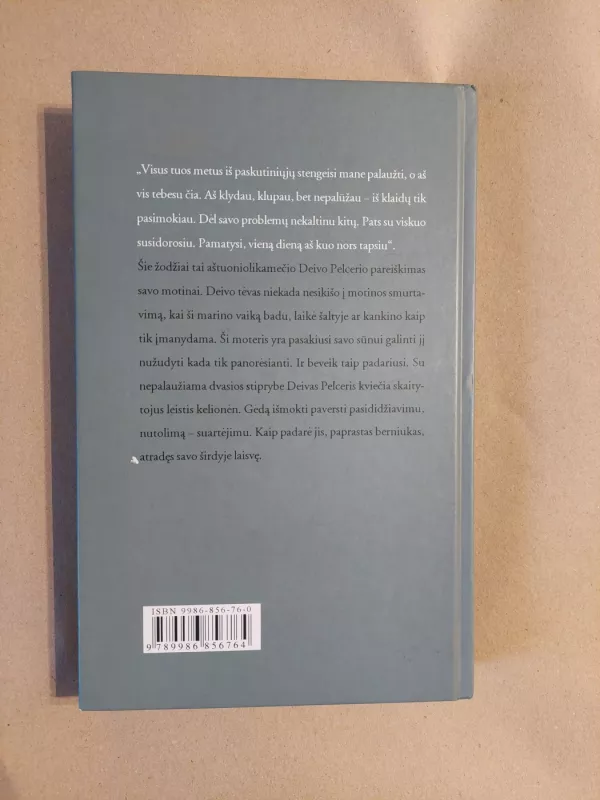 Žmogus, vardu Deivas: istorija apie triumfą ir atlaidumą - Dave Pelzer, knyga 3