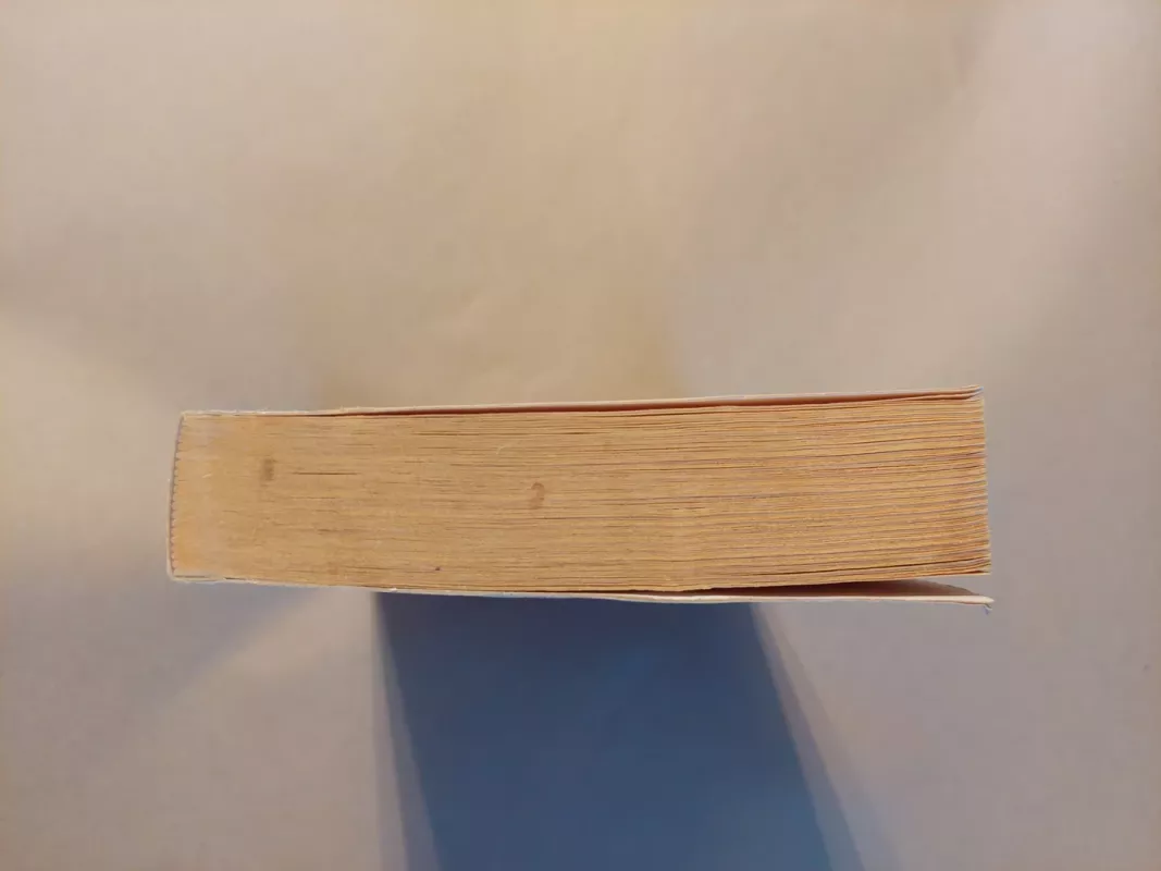 Zahiras - Paulo Coelho, knyga 4