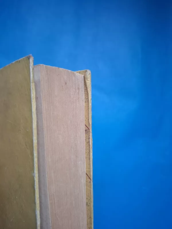 Bangos šniokščia - Kalkis Kalkis, knyga 6