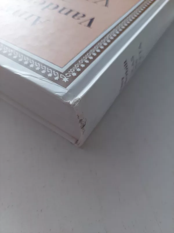 Viskas apie etiketą - Amy Vanderbilt, knyga 3