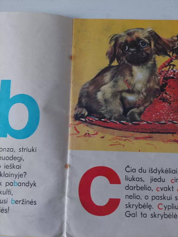 ABC Šuniukų abėcėlė - Aldona Liobytė, knyga 6