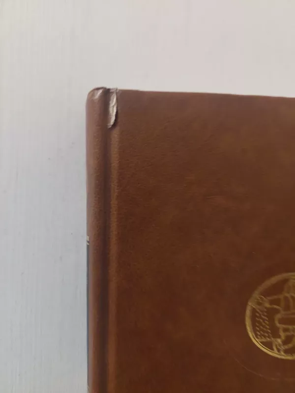 Efė Bryst. Ponia Jėnė Treibel - Theodor Fontane, knyga 4