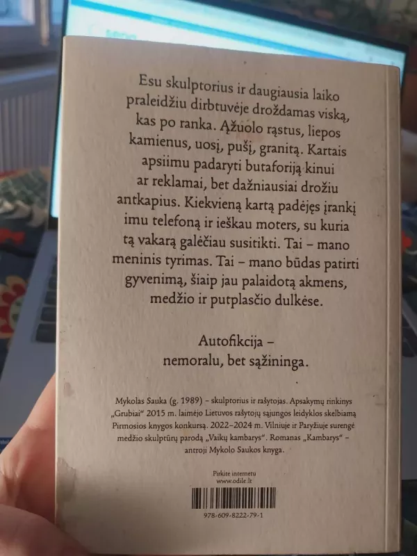 Kambarys - Mykolas Sauka, knyga 3