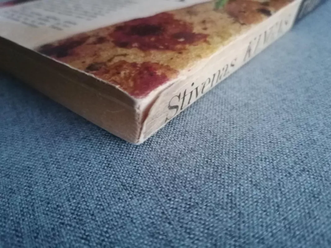 Tylos zona - Stivenas Kingas, knyga 4