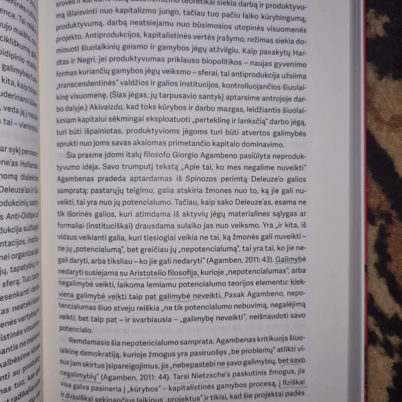 Mažoji politika: filosofinė socialinių judėjimų studija - Kasparas Pocius, knyga 5