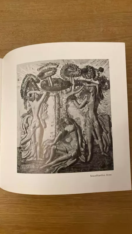 Keramikos dailės paroda - Eleonora Marčiulionienė, knyga 5