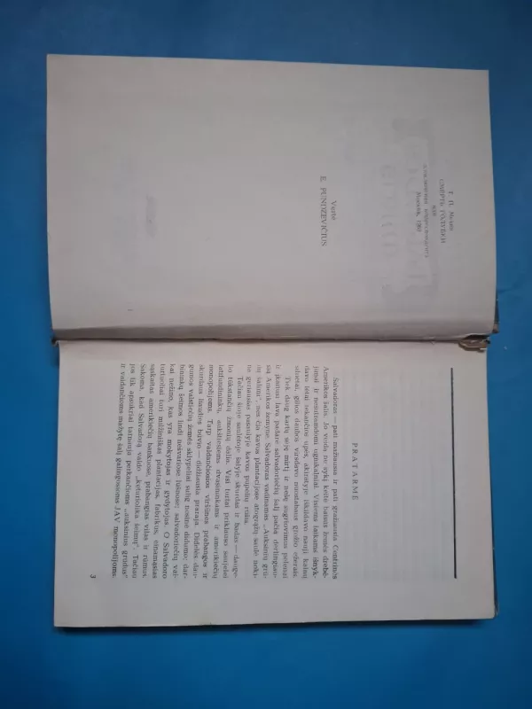 Balandės mirtis - T. Mečinas, knyga 4